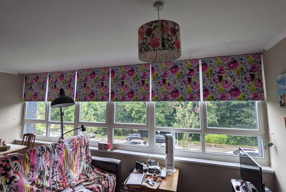 Custom roller blind with scenic view design